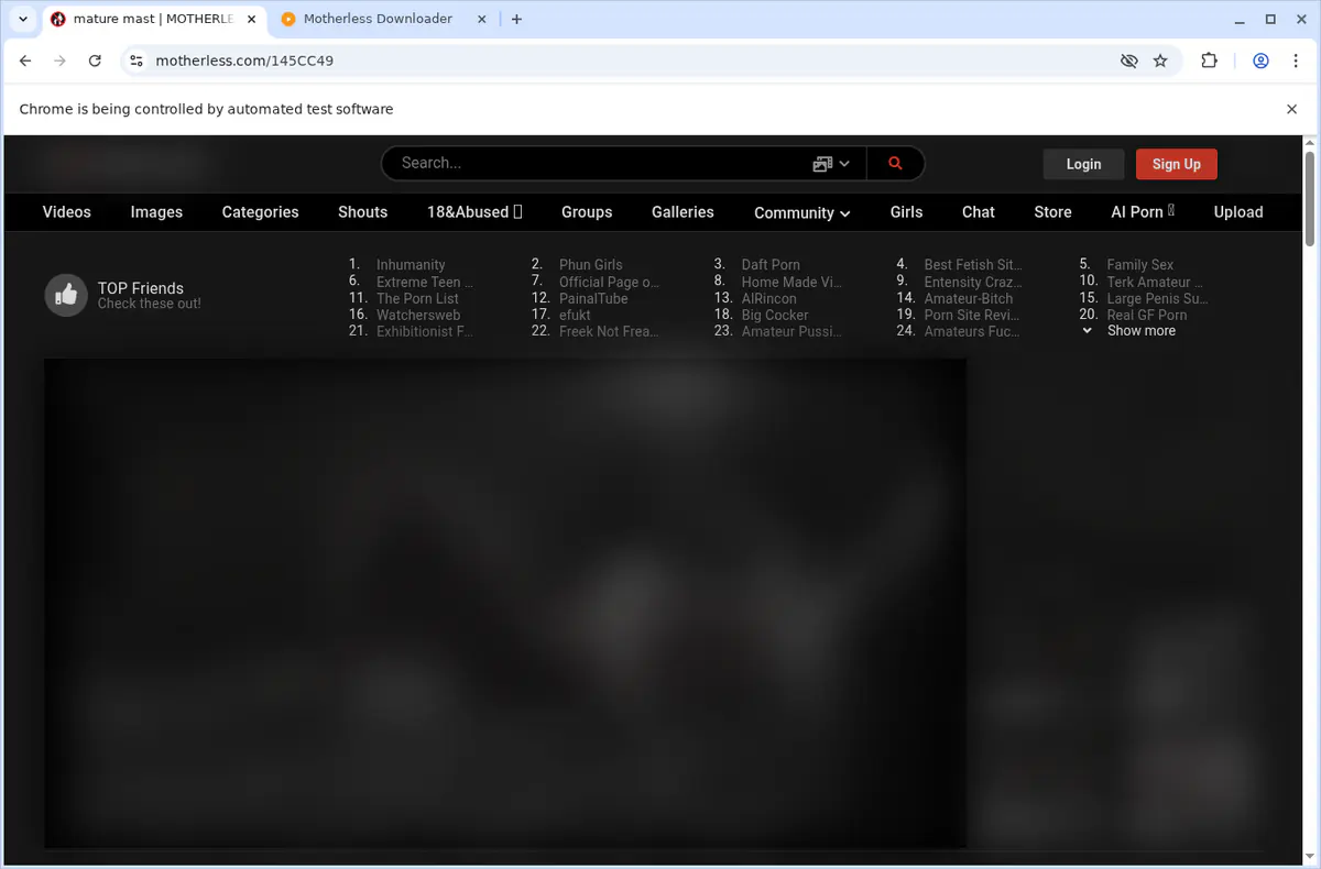 Motherless Video Downloader screenshot 3