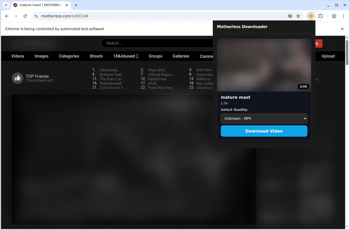 Motherless Video Downloader screenshot 4